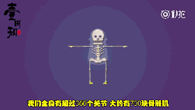 0.gif