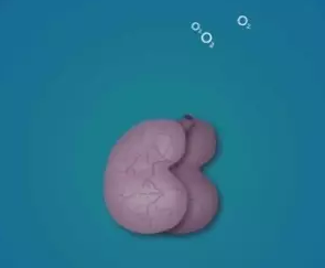 blob.png