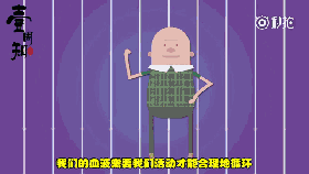0 (1).gif